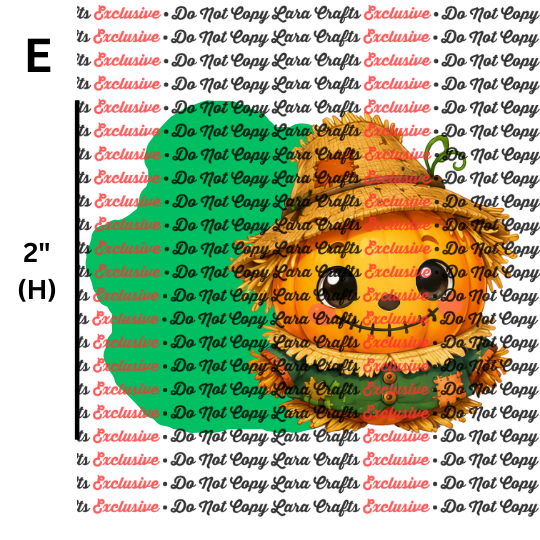 Halloween | Pumpkin Patch